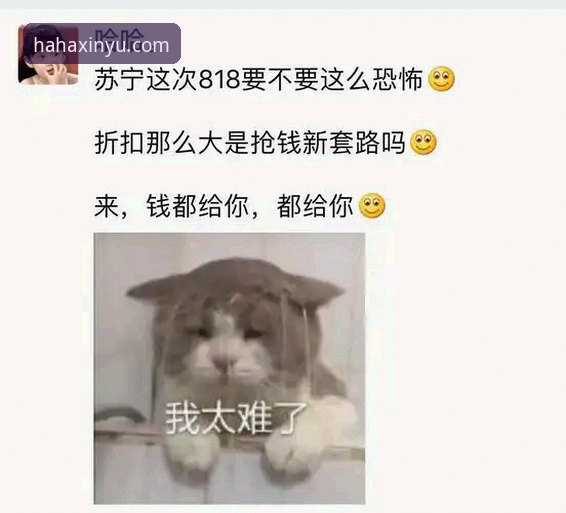 揭秘哈哈体育官方下载背后的真相：从版本更新到用户体验的深度解析